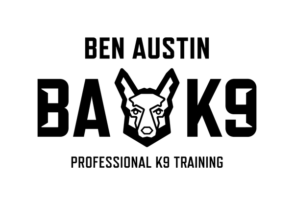 BAK9 logo